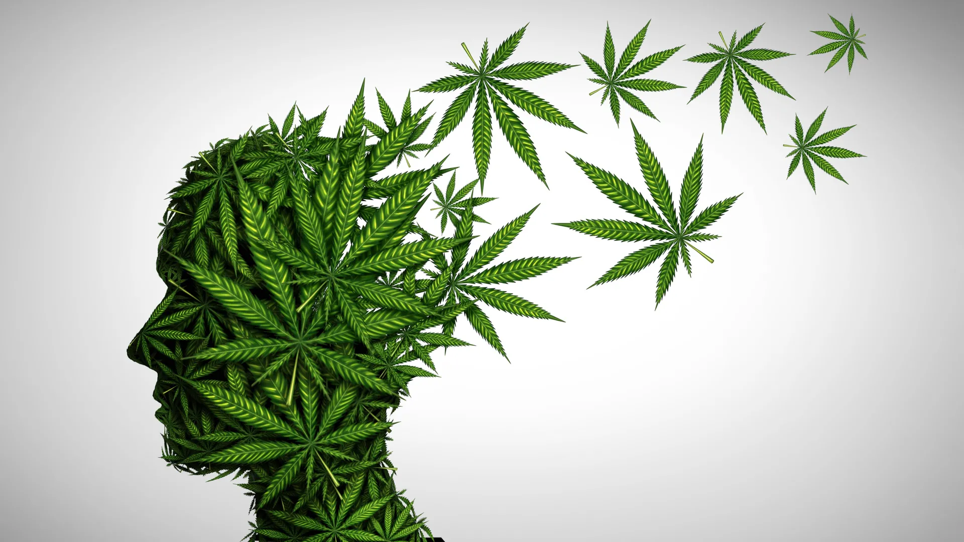 Bluetenbande | Hochwertiges Bio-Cannabis